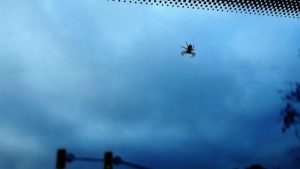 46 KW November 2019 - Arbeitsvorbereitungen, Kinderkram und draußen im